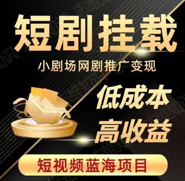 2023短视频蓝海项目，抖音快手短剧推广变现教程，低成本高收益-泱泱学习社