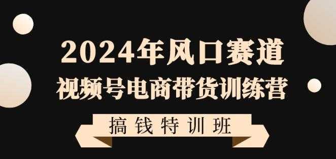2024年风口赛道视频号电商带货训练营搞钱特训班，带领大家快速入局自媒体电商带货-泱泱学习社