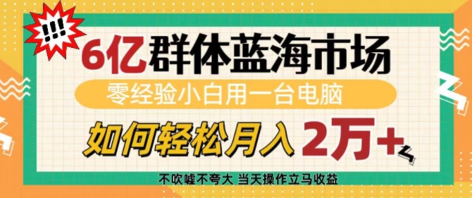 6亿群体蓝海市场，零经验小白用一台电脑，如何轻松月入过w【揭秘】-泱泱学习社