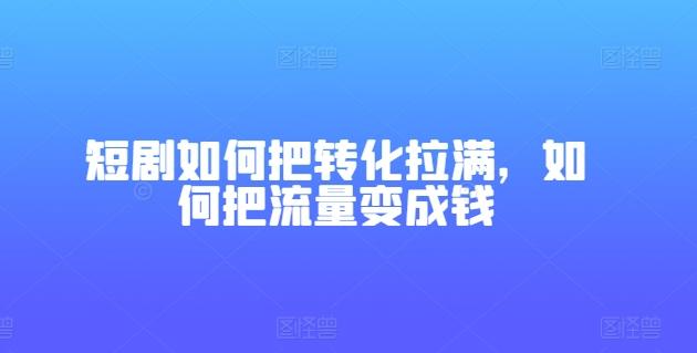 短剧如何把转化拉满，如何把流量变成钱-泱泱学习社