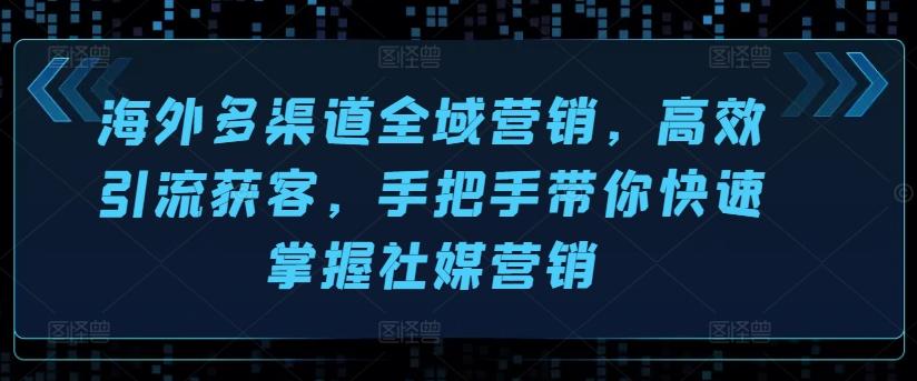 海外多渠道全域营销，高效引流获客，手把手带你快速掌握社媒营销-泱泱学习社