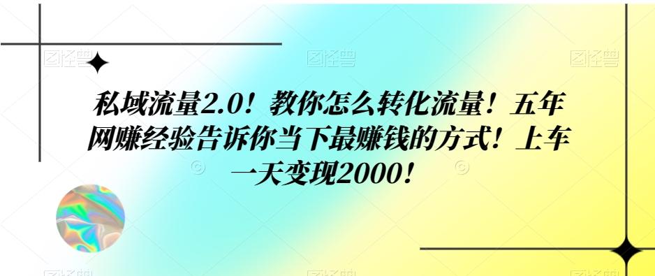 私域流量2.0！教你怎么转化流量！五年网赚经验告诉你当下最赚钱的方式！上车一天变现2000！-泱泱学习社