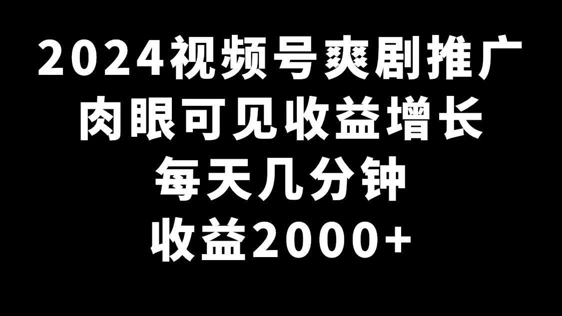 2024视频号爽剧推广，肉眼可见的收益增长，每天几分钟收益2000+-泱泱学习社