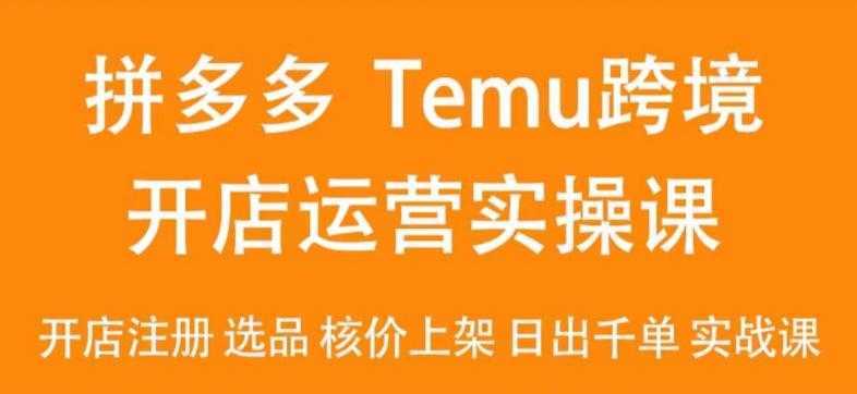 2024Temu最新玩法，Temu跨境开店运营实操课，开店注册/选品/核价上架/日出千单实战课-泱泱学习社