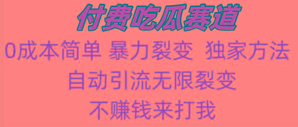 吃瓜付费赛道，暴力无限裂变，0成本，实测日入700+！！！-泱泱学习社