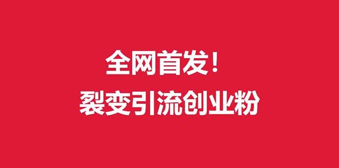(全网首发)外面收费几千的裂变引流高质量创业粉-泱泱学习社