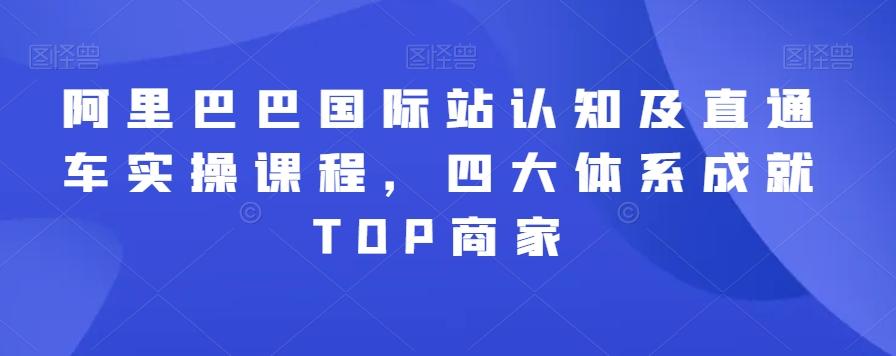 阿里巴巴国际站认知及直通车实操课程，四大体系成就TOP商家-泱泱学习社