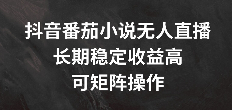 抖音番茄小说无人直播，长期稳定收益高，可矩阵操作【揭秘】-泱泱学习社