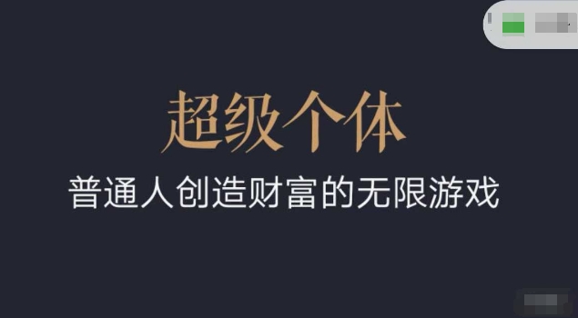 超级个体2024-2025翻盘指南，普通人创造财富的无限游戏-泱泱学习社