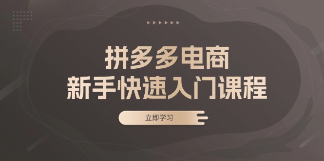 拼多多电商新手快速入门课程：涵盖基础、实战与选款，助力小白轻松上手-泱泱学习社