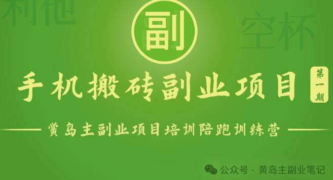 手机搬砖小副业项目训练营1.0，实测1小时收益50+，一部手机轻松日入100+-泱泱学习社