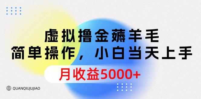 (9864期)虚拟撸金薅羊毛，简单操作，小白当天上手，月收益5000+-泱泱学习社