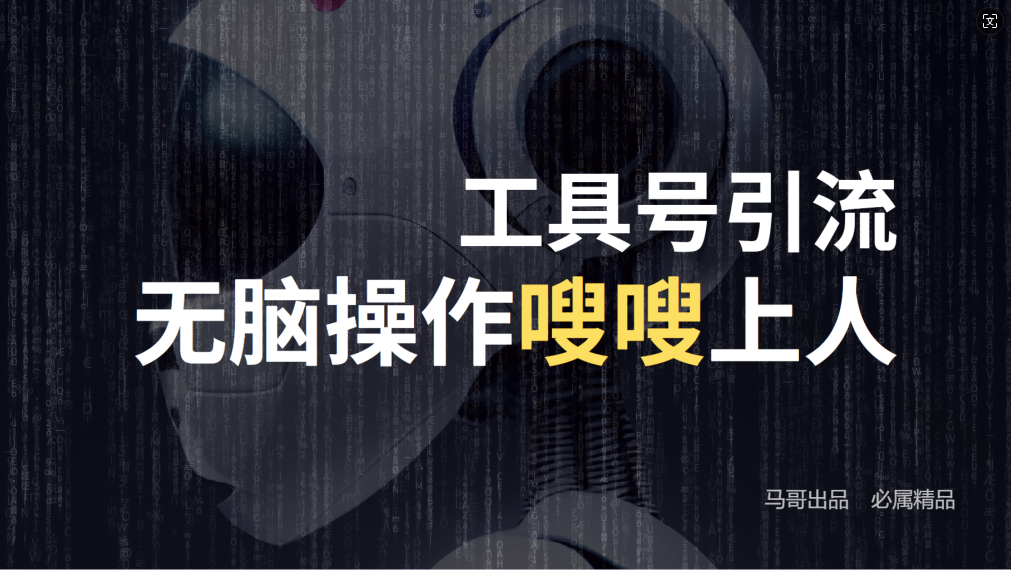 24年抖音最新工具号日引流300+创业粉，日入5000+-泱泱学习社