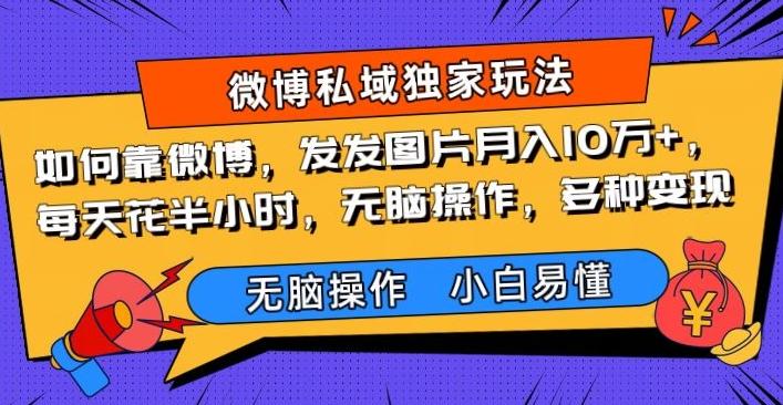 如何靠微博，发发图片月入10万+，‌每天花半小时，无脑操作，多种变现-泱泱学习社