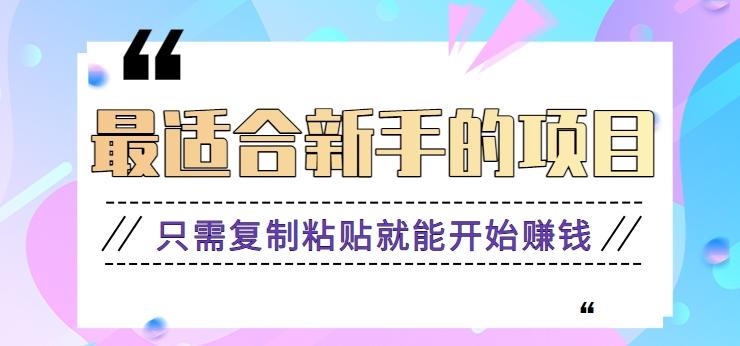 2024最适合新手操作的项目，新手小白只需复制粘贴就能开始赚钱【视频教程+软件】-泱泱学习社
