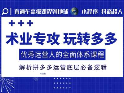 术业专攻玩转多多，优秀运营人的全面体系课程，解析拼多多运营底层必备逻辑-泱泱学习社