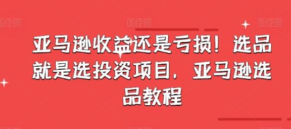 亚马逊收益还是亏损！选品就是选投资项目，亚马逊选品教程-泱泱学习社