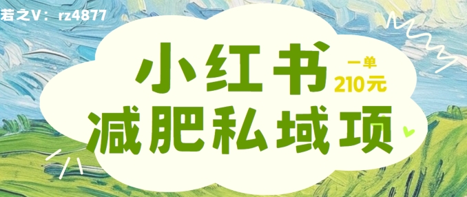 小红书减肥粉，私域变现项目，一单就达210元，小白也能轻松上手【揭秘】-泱泱学习社