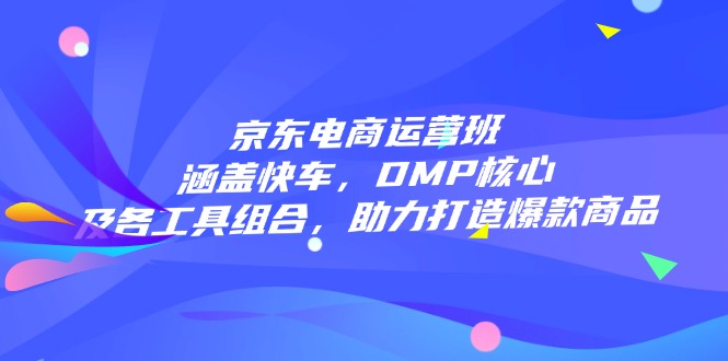 京东电商运营班：涵盖快车，DMP核心及各工具组合，助力打造爆款商品-泱泱学习社