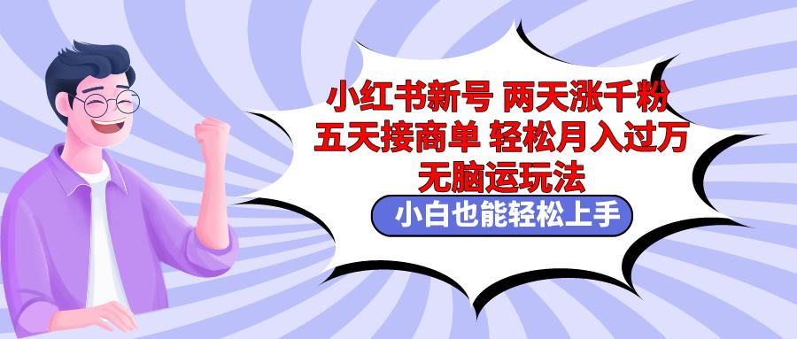 小红书新号两天涨千粉五天接商单轻松月入过万 无脑搬运玩法 小白也能轻…-泱泱学习社