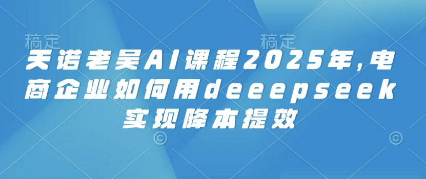 天诺老吴AI课程2025年，电商企业如何用deeepseek实现降本提效-泱泱学习社