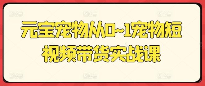 元宝宠物从0~1宠物短视频带货实战课-泱泱学习社