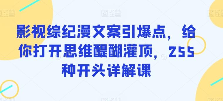 影视综纪漫文案引爆点，给你打开思维醍醐灌顶，255种开头详解课-泱泱学习社