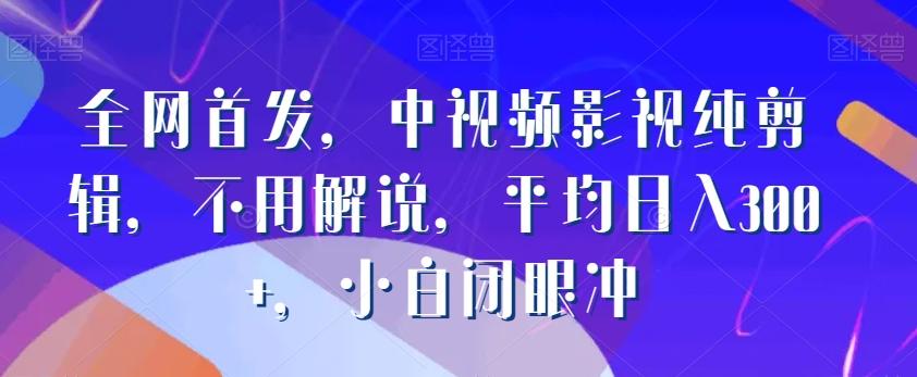 全网首发，中视频影视纯剪辑，不用解说，平均日入300+，小白闭眼冲-泱泱学习社