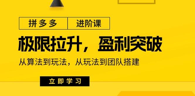 拼多多·进阶课：极限拉升/盈利突破：从算法到玩法 从玩法到团队搭建-18节-泱泱学习社