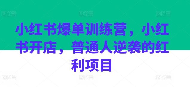 小红书爆单训练营，小红书开店，普通人逆袭的红利项目-泱泱学习社