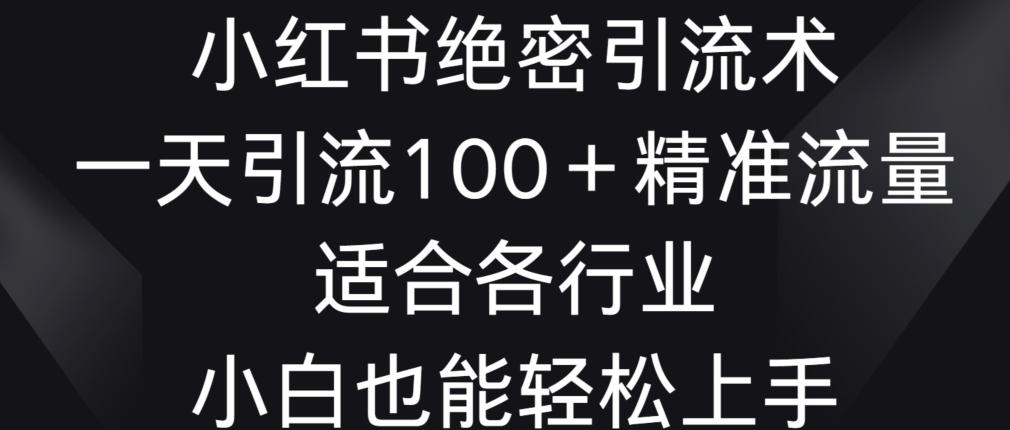 小红书绝密引流术，一天引流100+精准流量，适合各个行业，小白也能轻松上手【揭秘】-泱泱学习社
