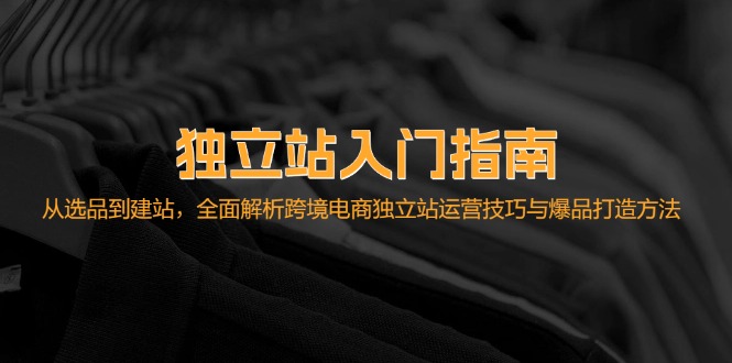 独立站入门指南：从选品到建站，全面解析跨境电商独立站运营技巧与爆品…-泱泱学习社