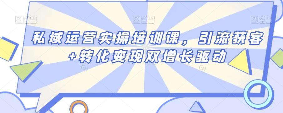 私域运营实操培训课，引流获客+转化变现双增长驱动-泱泱学习社
