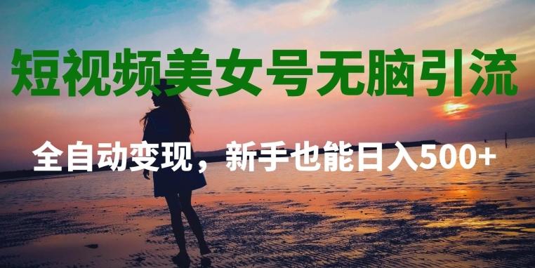 短视频美女号无脑引流，全自动变现，新手也能日入500+-泱泱学习社