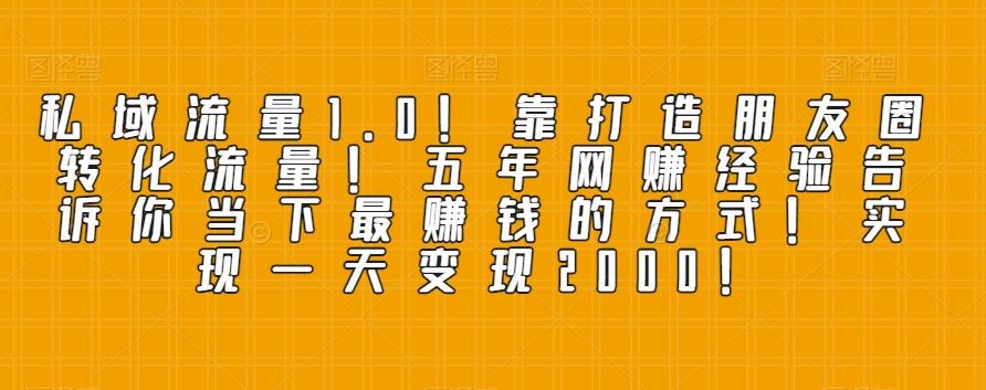 私域流量1.0！靠打造朋友圈转化流量！五年网赚经验告诉你当下最赚钱的方式！实现一天变现2000！-泱泱学习社