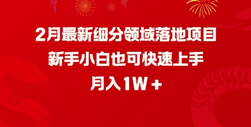 2月最新细分领域落地项目，新手小白也可快速上手，月入1W-泱泱学习社