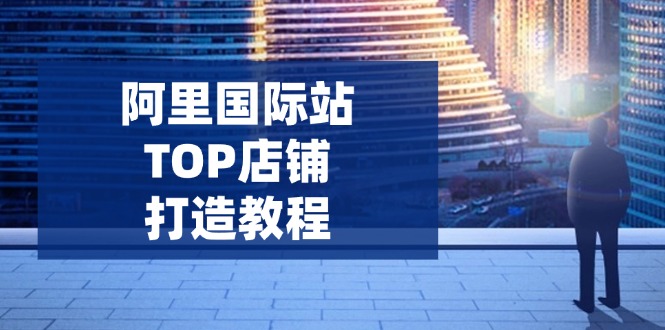 阿里国际站TOP店铺打造教程：涵盖平台到高阶，解决运营难题，提升询盘-泱泱学习社