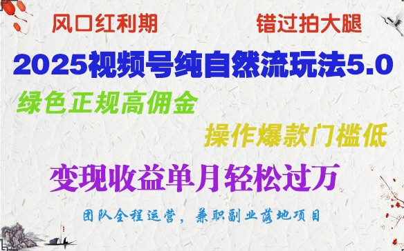 2025视频号纯自然流玩法5.0，绿色正规高佣金，操作爆款门槛低，变现收益单月轻松过万-泱泱学习社