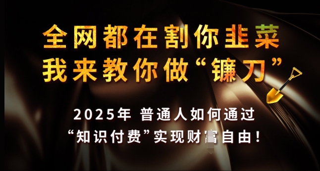 全网都在割你韭菜，我来教你做镰刀，2025年普通人如何通过 知识付费 实现财F自由【揭秘】-泱泱学习社
