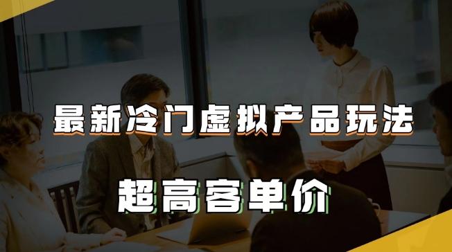 最新冷门虚拟产品玩法，超高客单价，月入2-3万＋【揭秘】-泱泱学习社