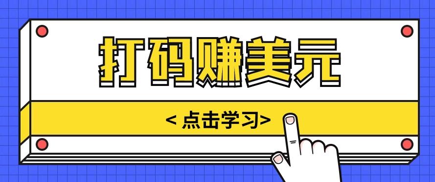 手动输入验证码，每天多投入几个小时，也能轻松获得两三千元的收入-泱泱学习社