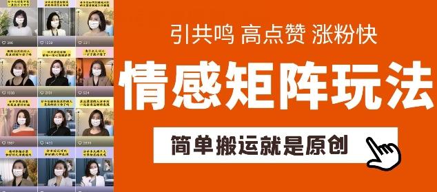 简单搬运，情感矩阵玩法，涨粉速度快，可带货，可起号【揭秘】-泱泱学习社