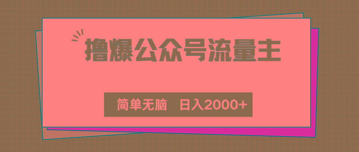 撸爆公众号流量主，简单无脑，单日变现2000+-泱泱学习社