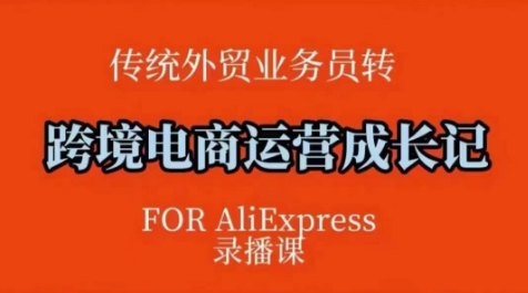 跨境电商速卖通运营课，​运营方法论+后台实操，逻辑清晰-泱泱学习社