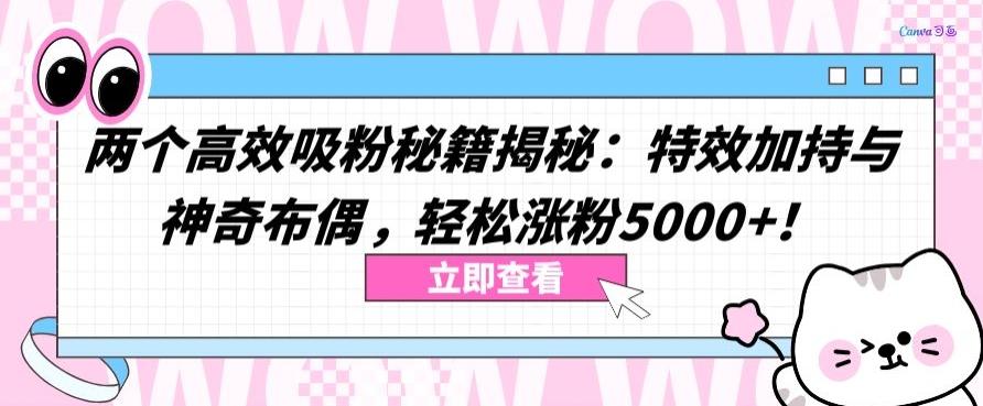 两个高效吸粉秘籍揭秘：特效加持与神奇布偶，轻松涨粉5000+【揭秘】-泱泱学习社