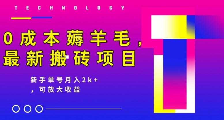 0成本薅羊毛，最新搬砖项目，新手单号月入2k+，可放大操作-泱泱学习社