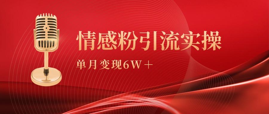 (9473期)单月变现6w+，情感粉引流变现实操课-泱泱学习社