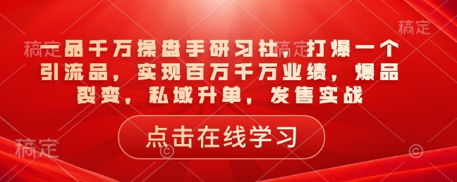 一品千万操盘手研习社，打爆一个引流品，实现百万千万业绩，爆品裂变，私域升单，发售实战-泱泱学习社