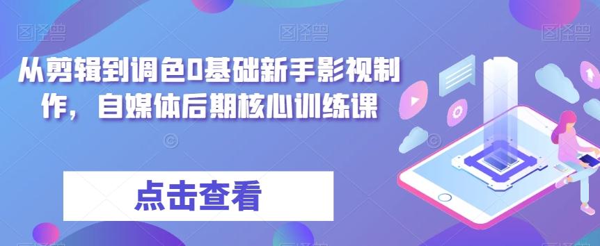 从剪辑到调色0基础新手影视制作，自媒体后期核心训练课-泱泱学习社