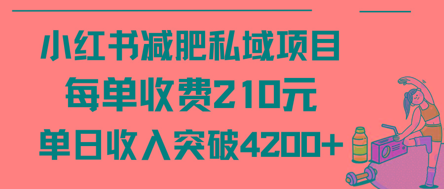 (9466期)小红书减肥私域项目每单收费210元单日成交20单，最高日入4200+-泱泱学习社